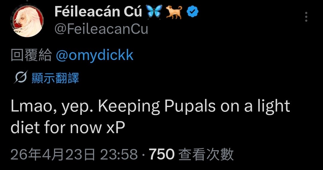 Kk_Sufer's tweet photo. Just posted a FellyCu sussy fanfic with only Sensei blocked from the tweet to keep a light diet for him!
Guys did you like it? *Wink wink https://t.co/xSgOvYIYQg