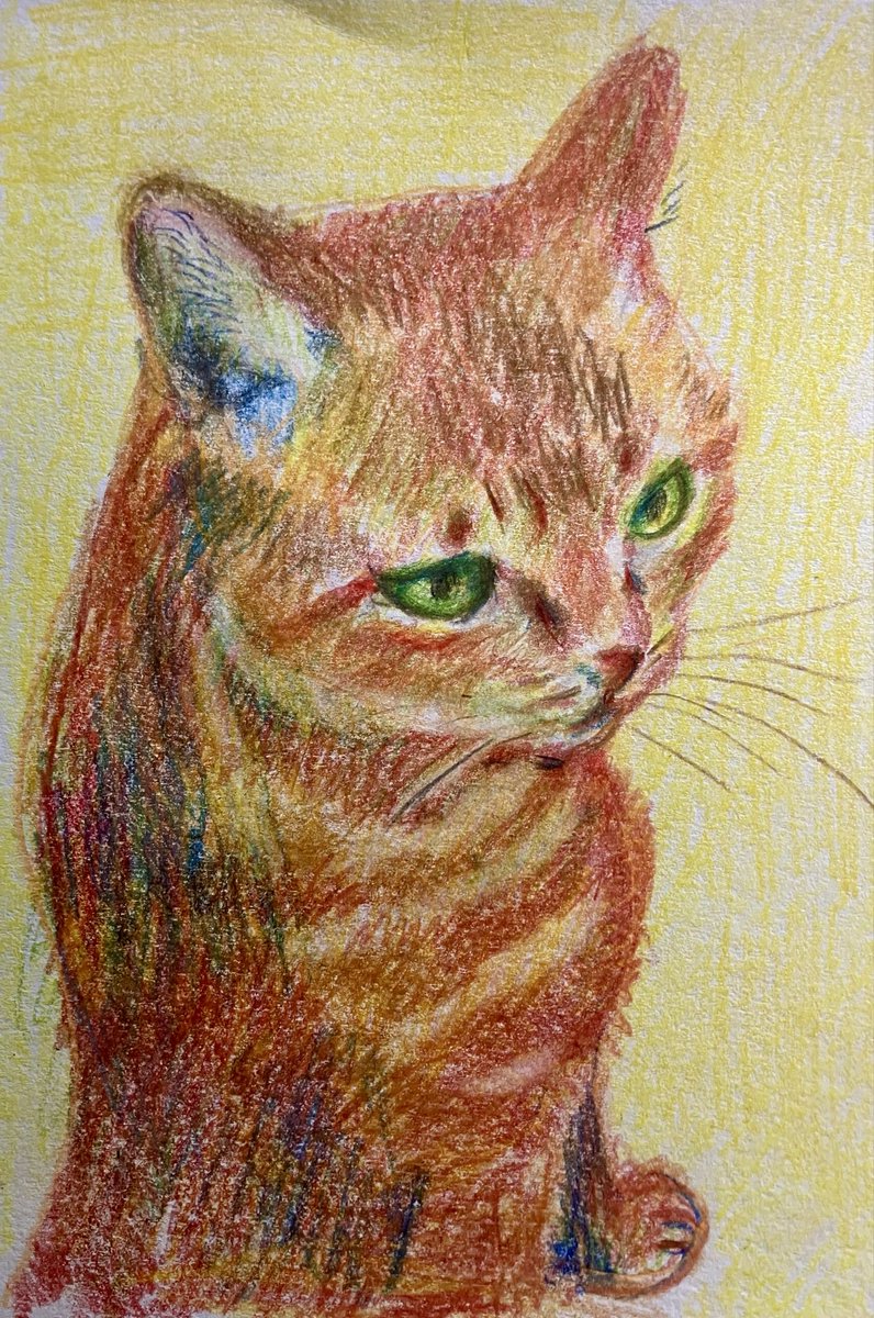 色鉛筆で　＃猫ちゃん　＃イラスト
