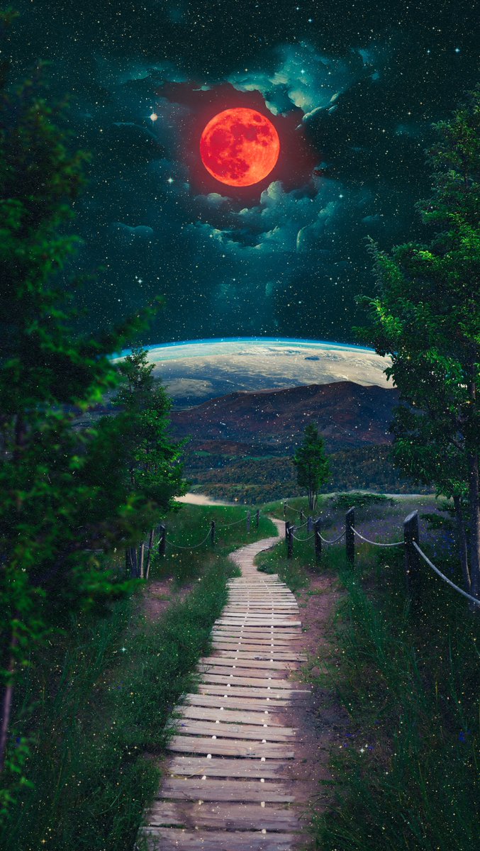 POSTWOOK's tweet photo. day / night / day / night https://t.co/liTrbP8pDb