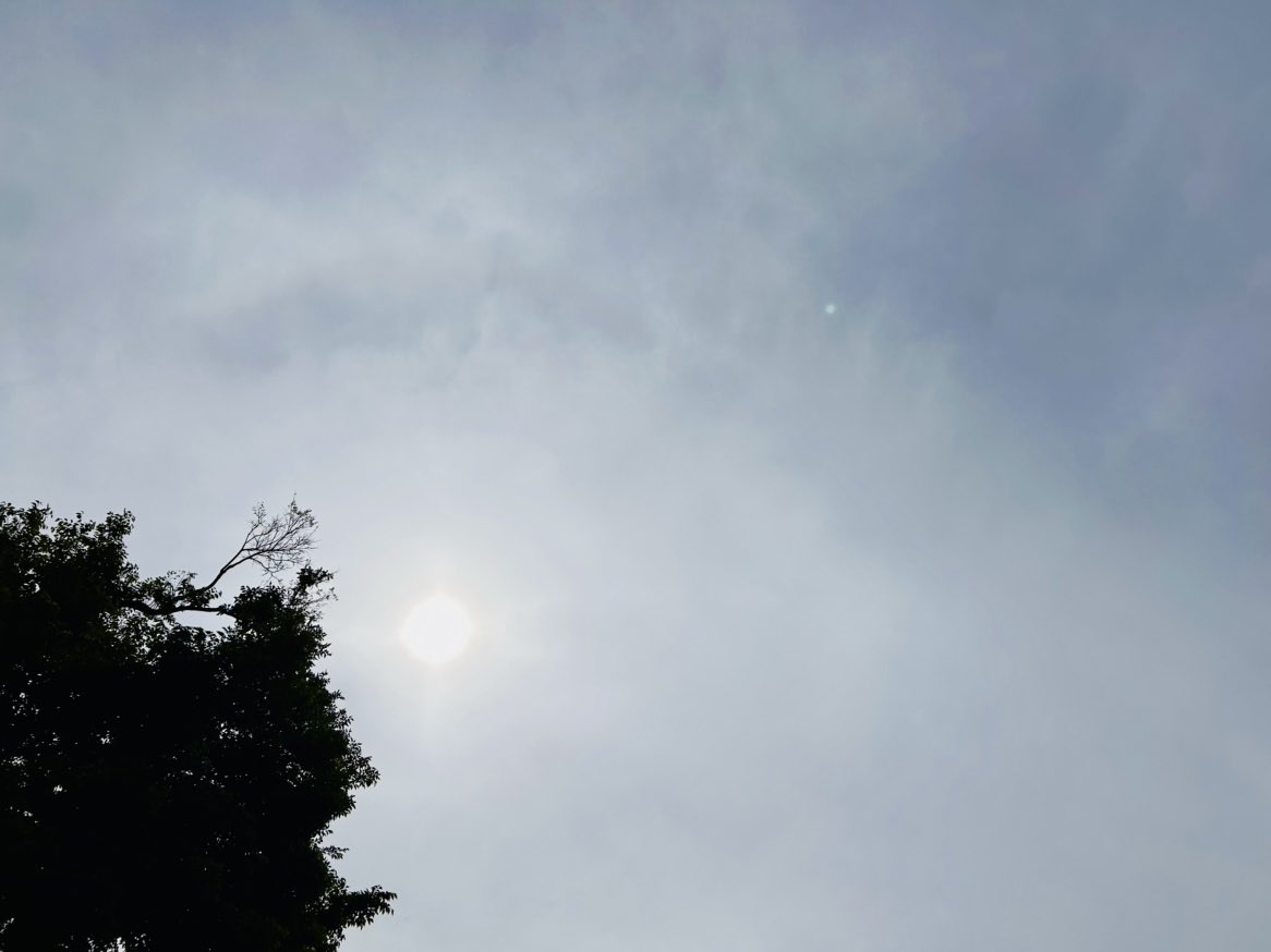 【30人企業のリアルを届けるPodcast公開中！】株式会社ジョイゾー@「システム39」 tweet media