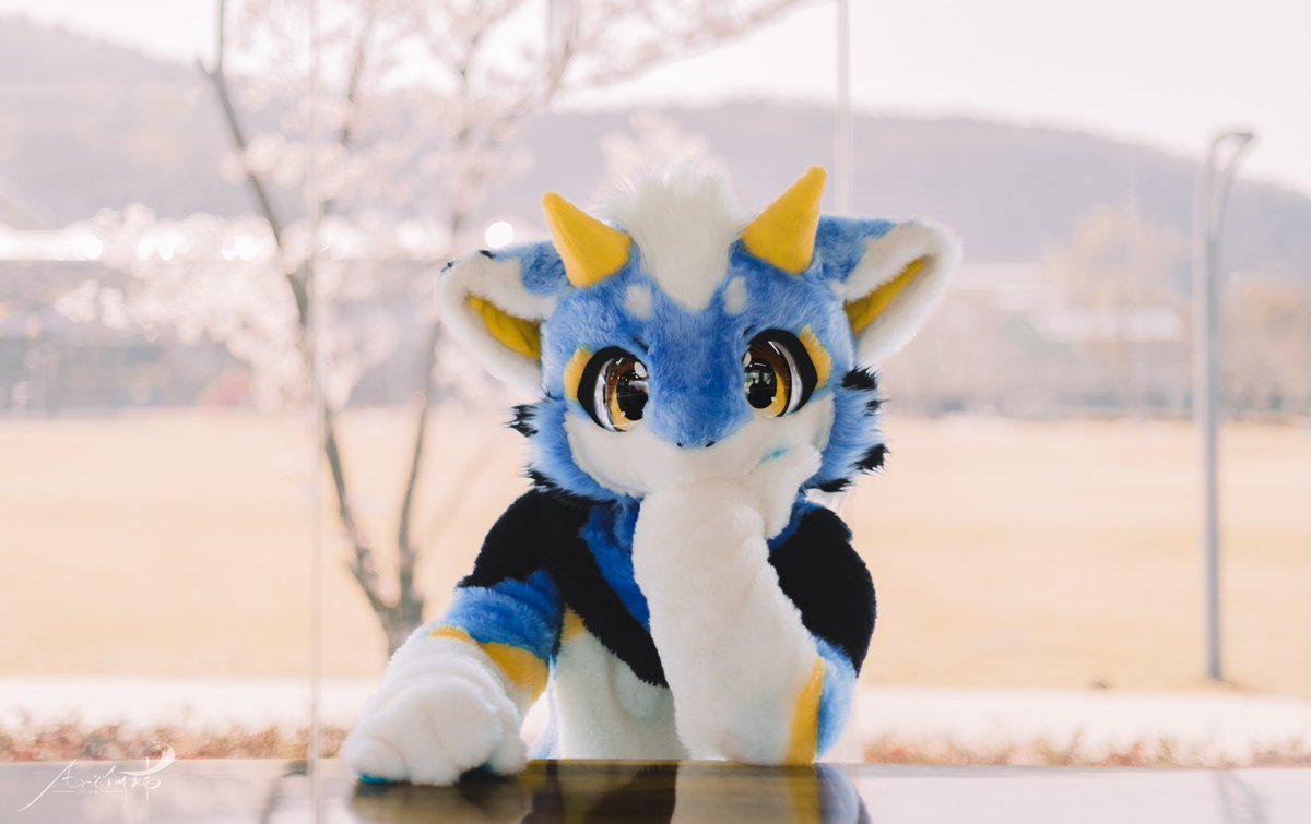 Classmate_Kui's tweet photo. 春の温もり

#FursuitFriday
 📷@FurryCineDream https://t.co/aFe0MISw1u