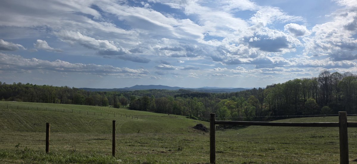 Living Soil Geek 🪱 tweet media