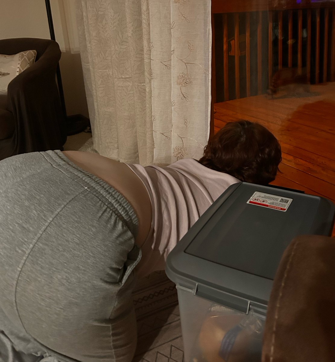 faye 🦀 tweet media