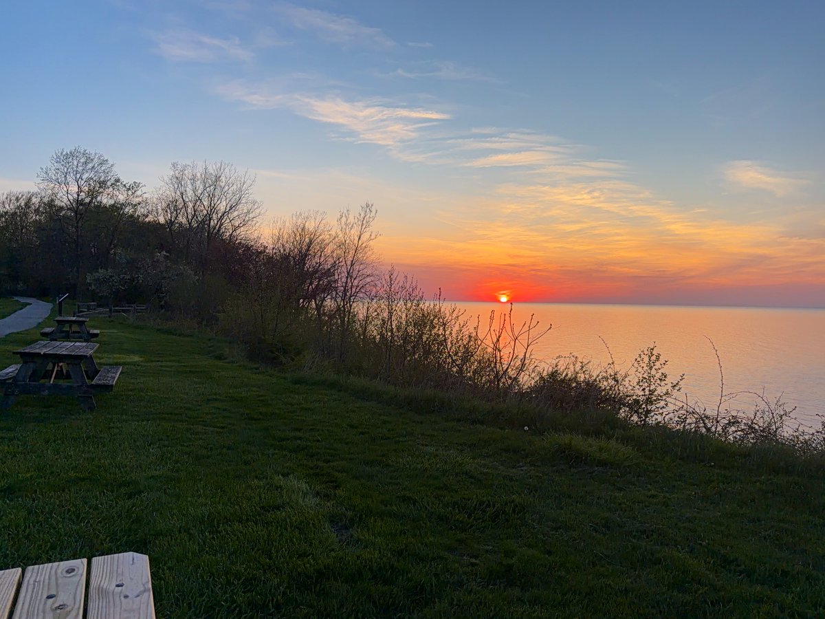 mooncougar61's tweet image. A #RedWingedBlackbird at #SunsetPHOTOGRAPHY 

youtu.be/kPa7bsKwL-c?si…