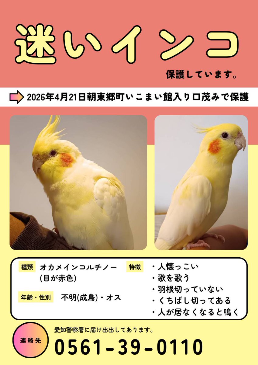 maho🌈親子WithU tweet media