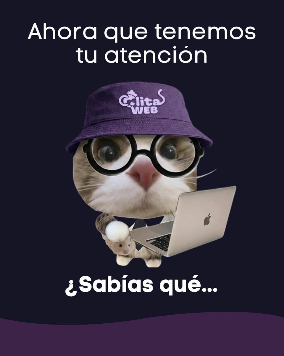 ColitasWeb's tweet photo. https://t.co/1zSa6IzTH1