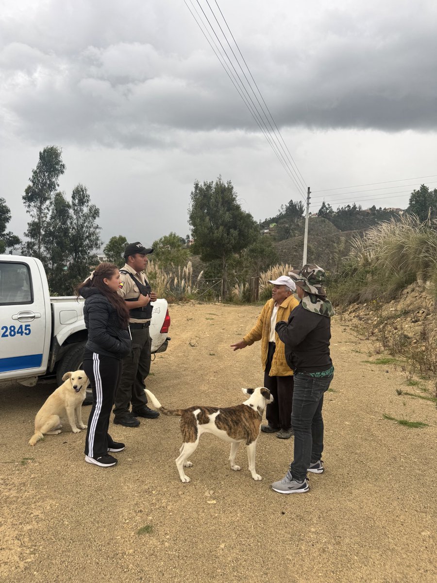 David Crespo tweet media