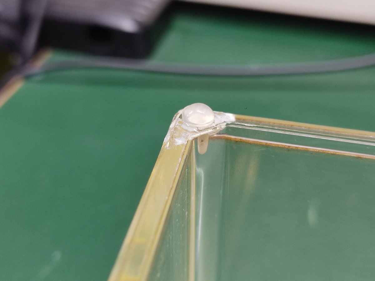 CraftedAudioJP tweet media