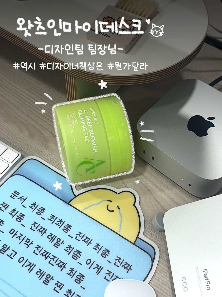 듀이트리 DEWYTREE tweet media