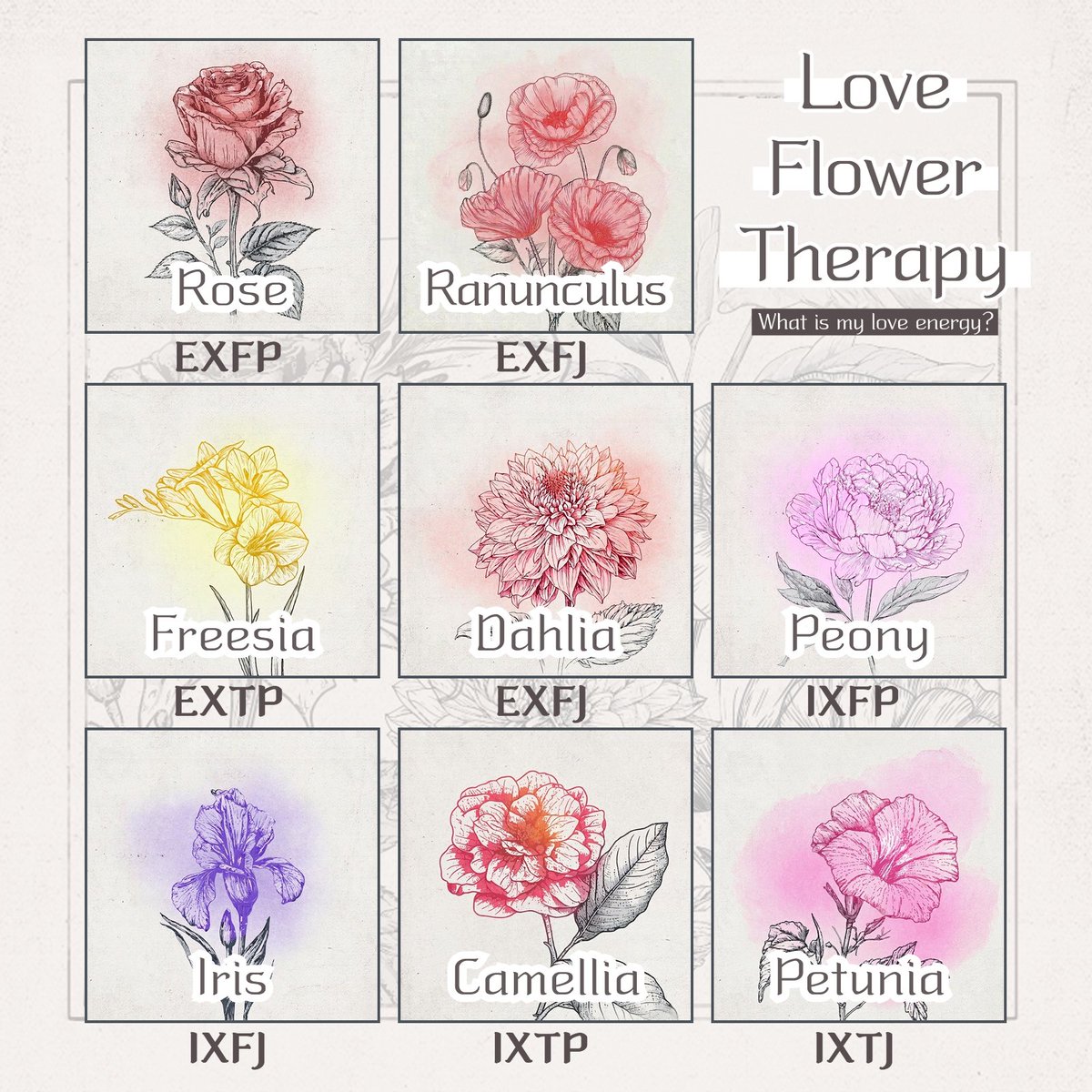 poomangofficial's tweet photo. Meet your Love Energy Flower! 🌺

Which flower matches your love energy? ✨
🌹 Rose / 🌺 Camellia / 🌷 Peony / 🪴 Petunia

What’s your flower language? 👇

💐 https://t.co/8wqsmzf3kW 

More fun tests available now!
👉 https://t.co/hchooGdhm3 https://t.co/1s9SdoRCDA