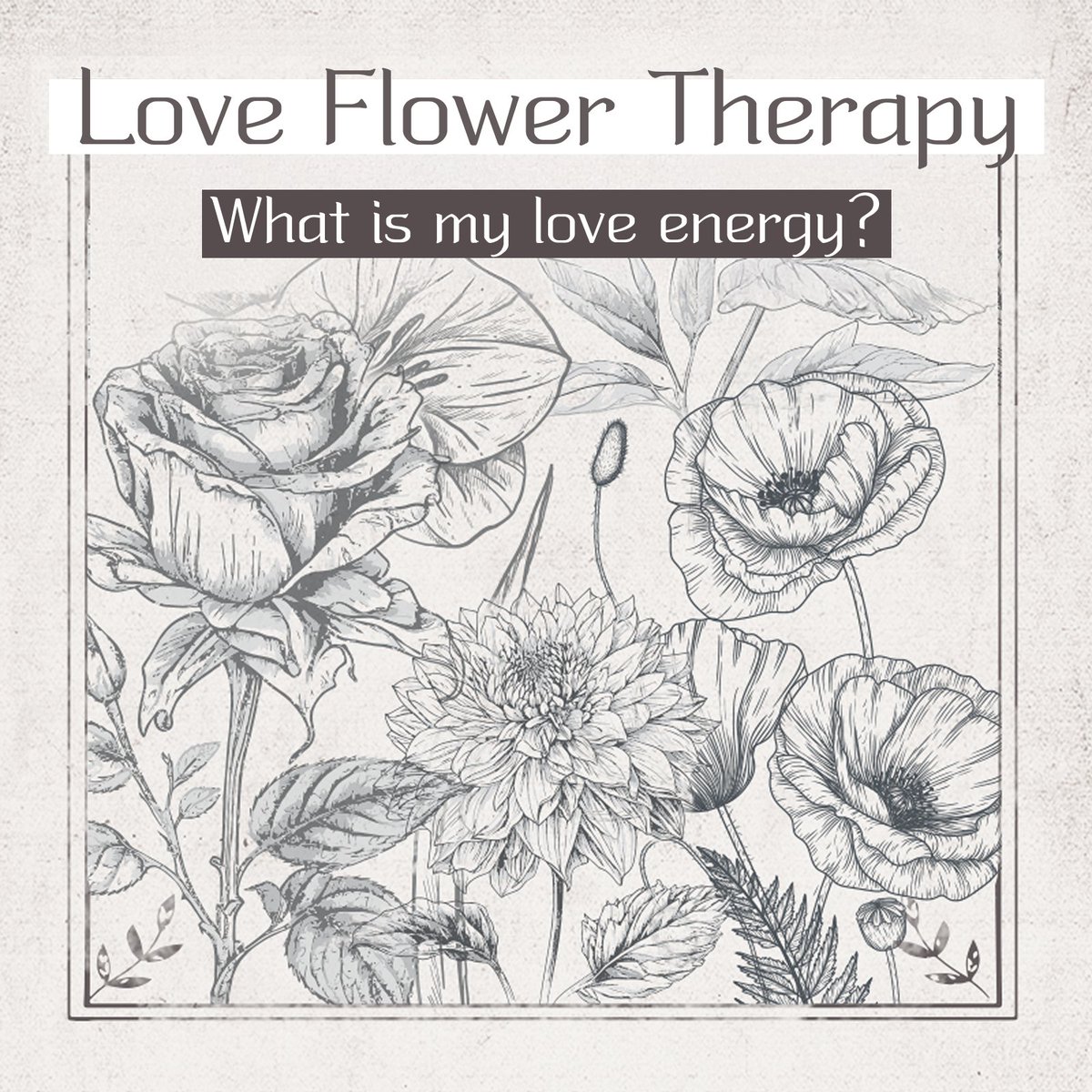 poomangofficial's tweet photo. Meet your Love Energy Flower! 🌺

Which flower matches your love energy? ✨
🌹 Rose / 🌺 Camellia / 🌷 Peony / 🪴 Petunia

What’s your flower language? 👇

💐 https://t.co/8wqsmzf3kW 

More fun tests available now!
👉 https://t.co/hchooGdhm3 https://t.co/1s9SdoRCDA