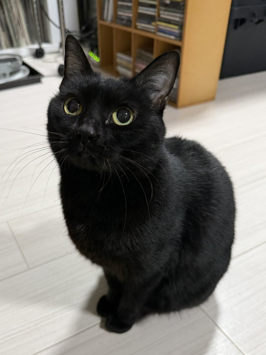 ピノさん、キオは病院にお泊まりになるから、会えるのは明日だよ😊