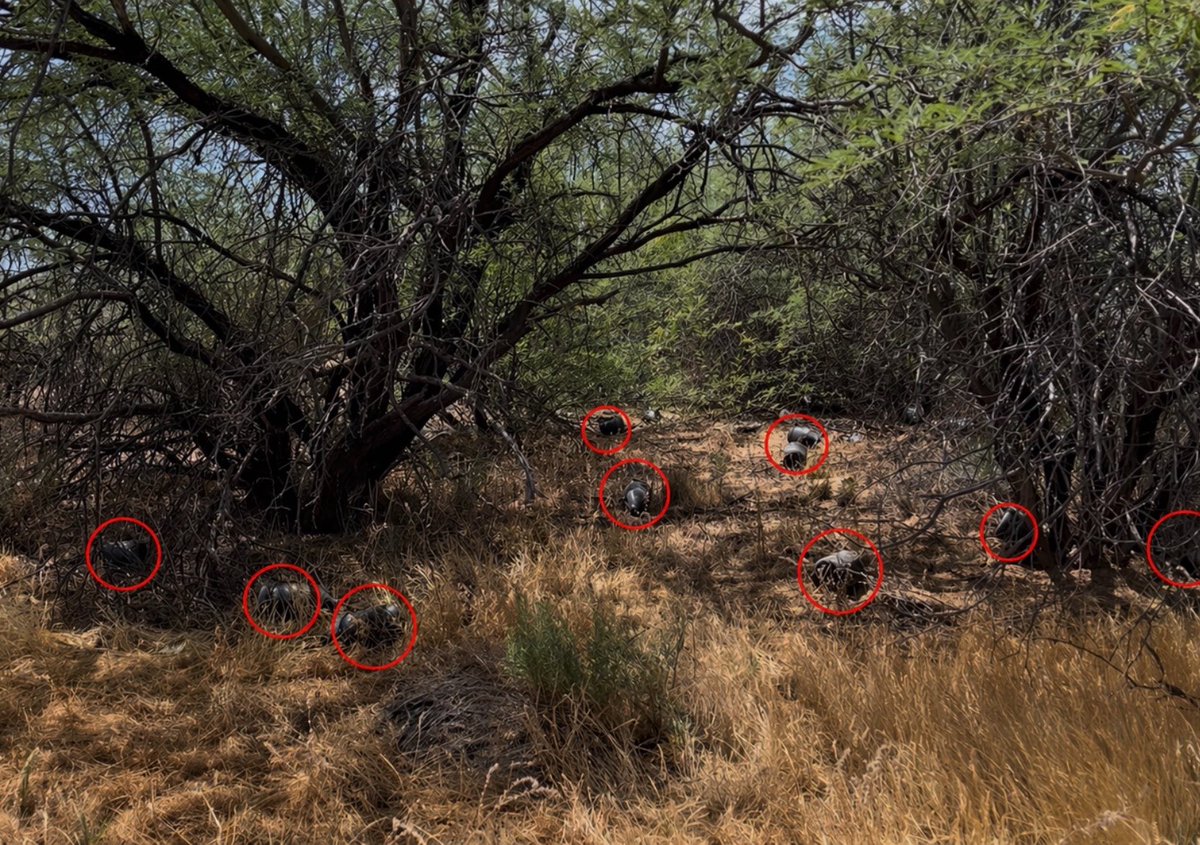 Andrew Ireland tweet media