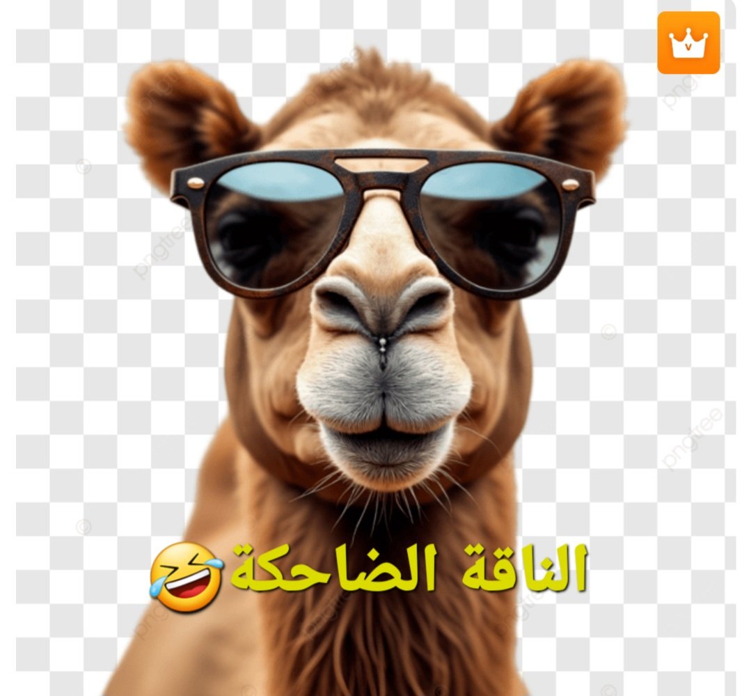 khalid alghamdi tweet media