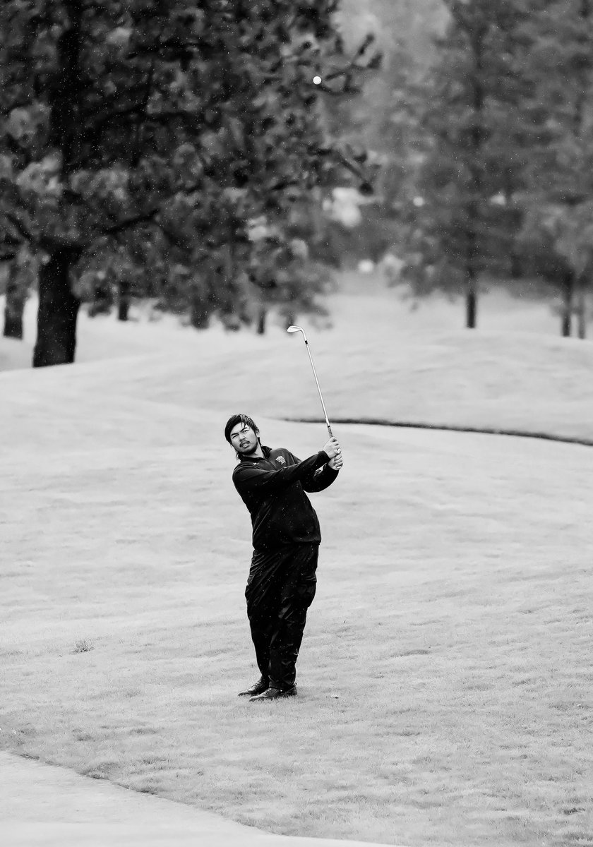 MSUB Golf tweet media