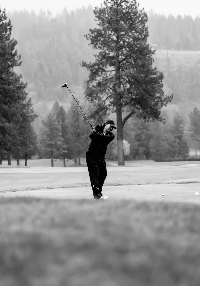 MSUB Golf tweet media