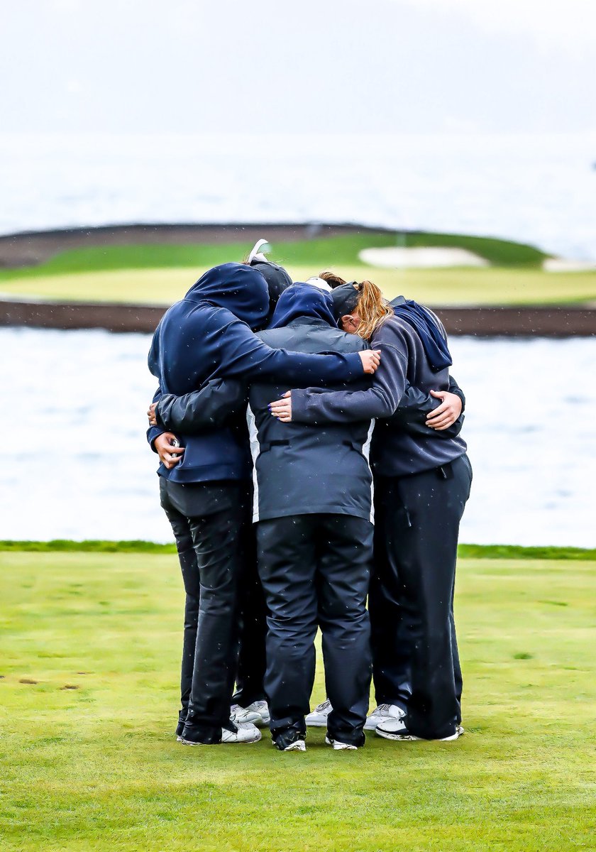 MSUB Golf tweet media