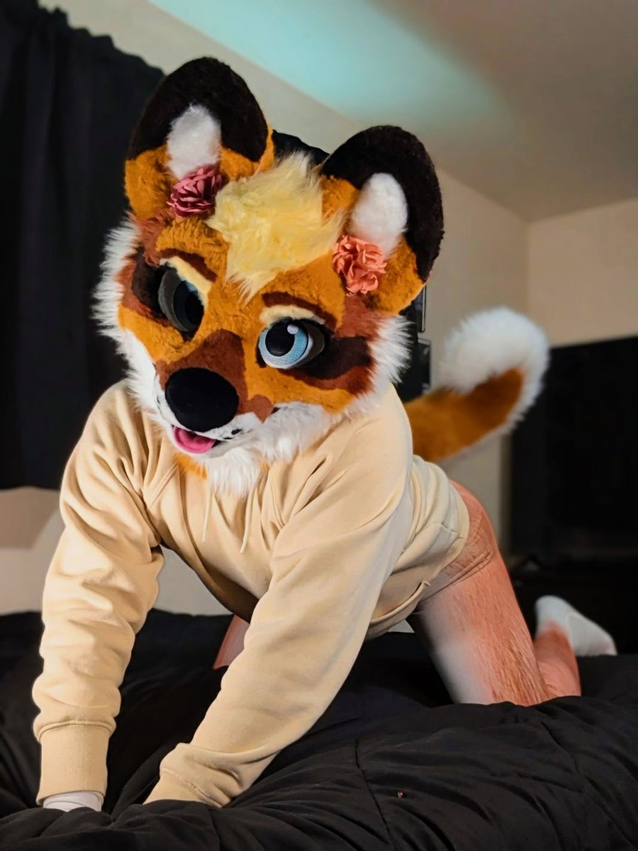 🤍Kaspar🤍 tweet media