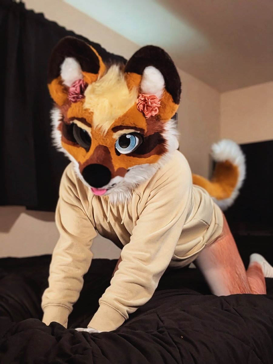 🤍Kaspar🤍 tweet media