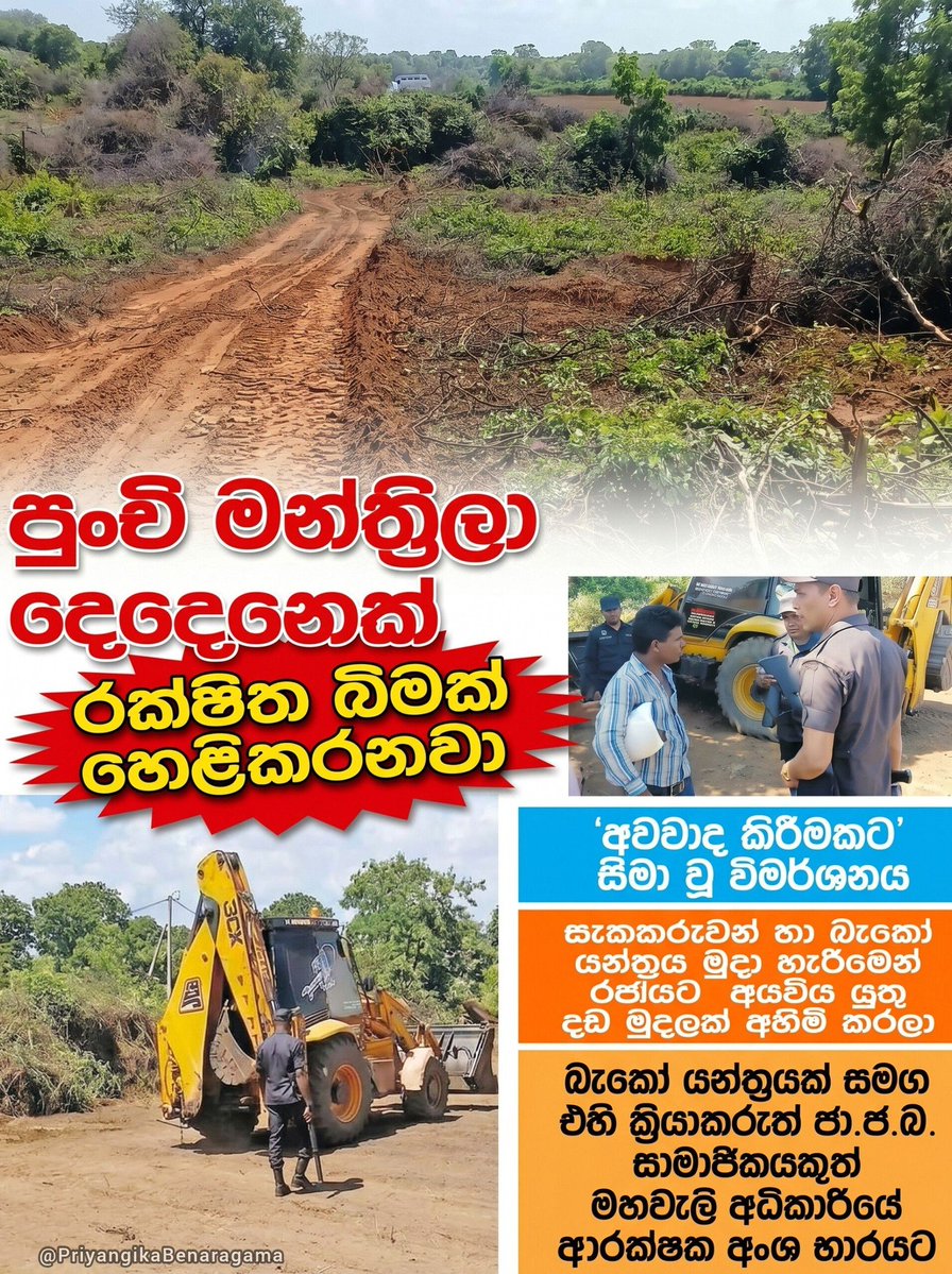 The Citizen 🕊️ tweet media