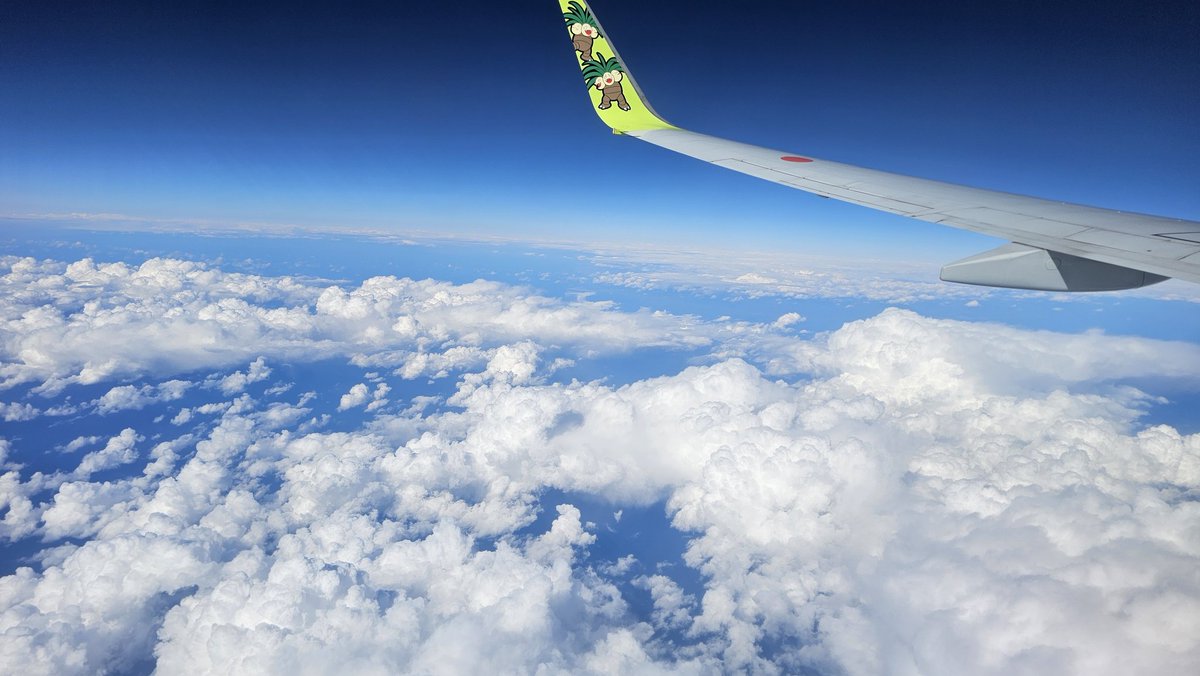 しいちゃん㌠📸次回コスサミパーティー tweet media