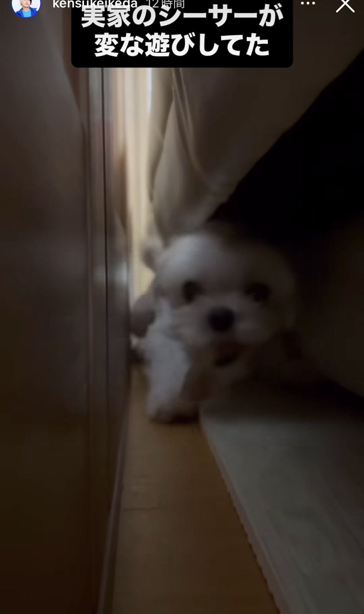 るなし🐈‍⬛🌙大阪✌️🧩💙 tweet media