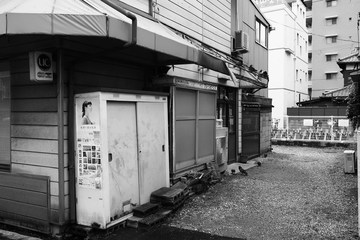 tochi_kupipi's tweet image. #monochrome
#photography 
鳩が9羽