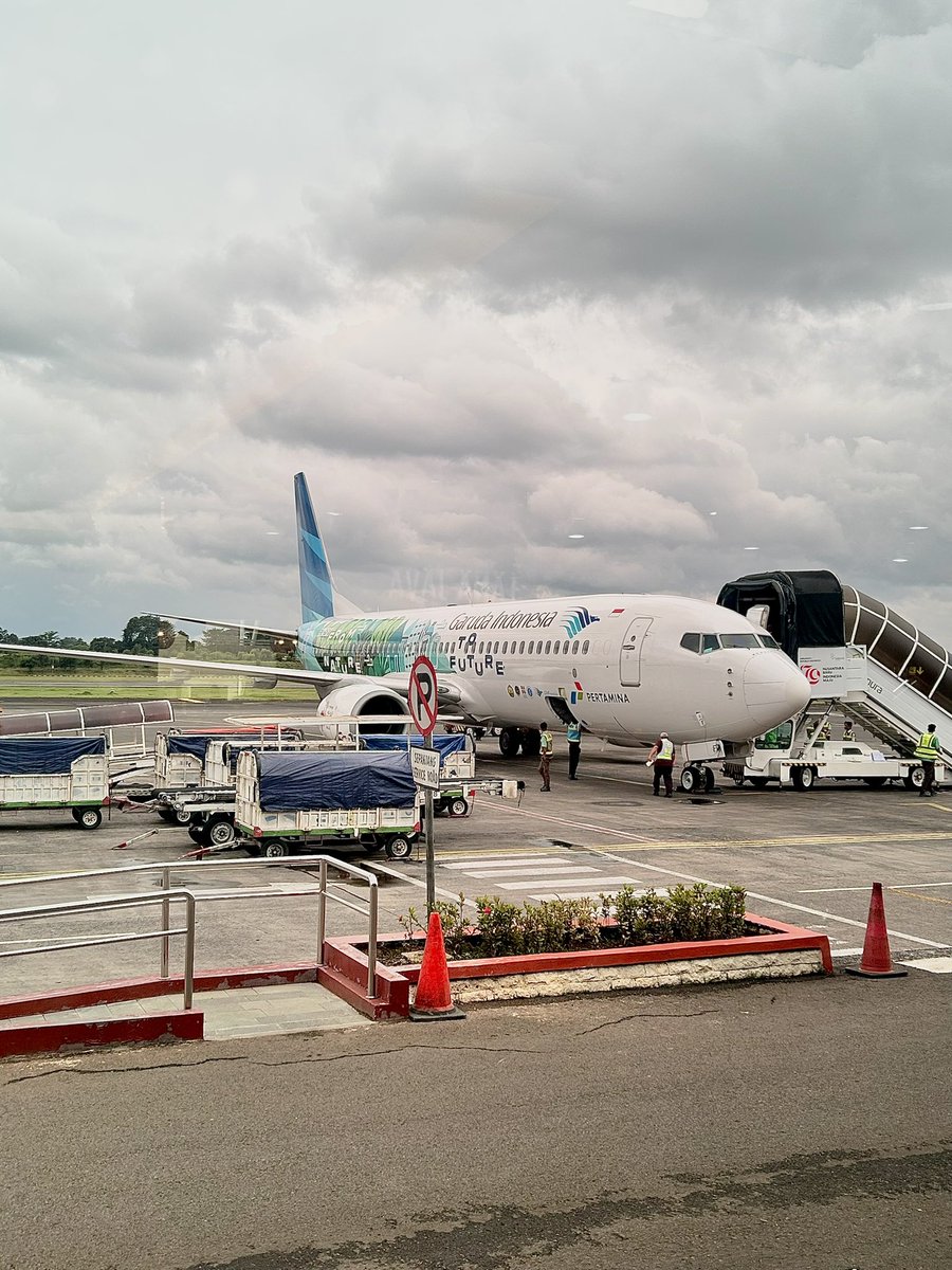 🐻🐻 tweet media