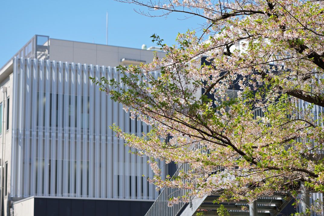 NagoyaUniv's tweet photo. [News] Twelve Nagoya University researchers and staff have been recognized in MEXT's 2026 Commendation for Science and Technology, honoring outstanding contributions across research, development, and scientific promotion. Learn more: https://t.co/5D3kwUc1G5 https://t.co/KUMFM9ty9o