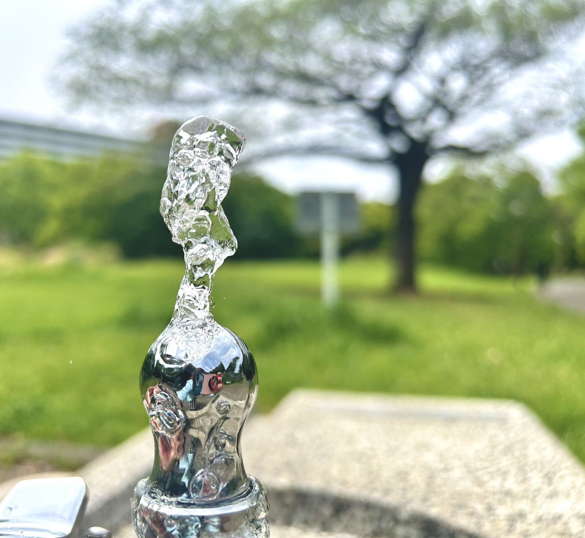 バーバラ亜紀 tweet media