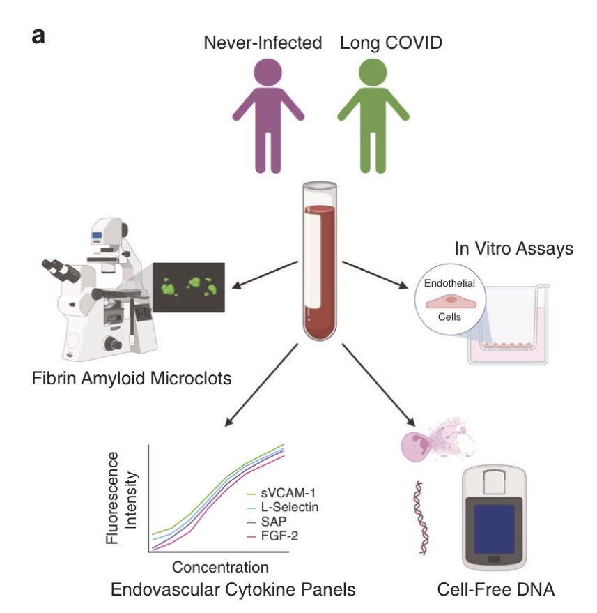 YonkerLab tweet media