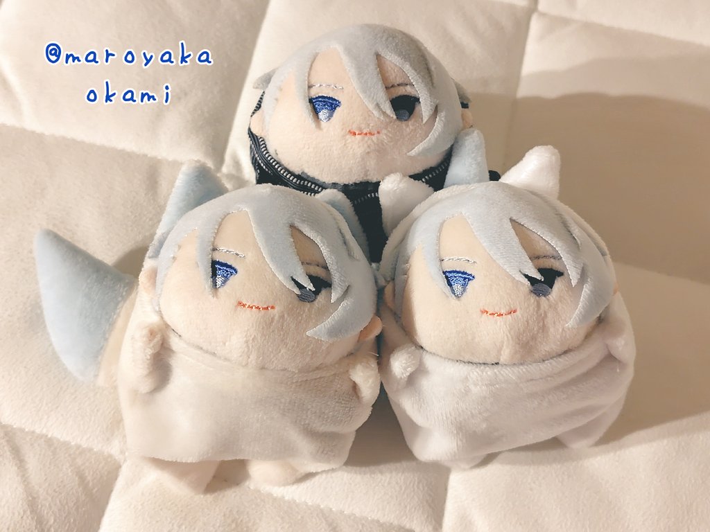 まろやかおおかみ🐺 tweet media