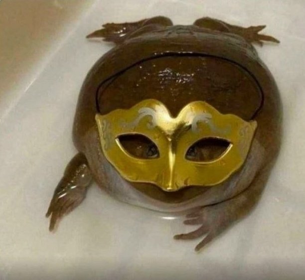 9аJIек0_V_TaМ tweet media