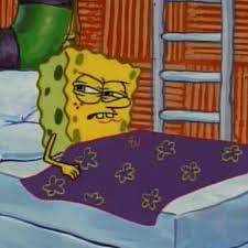 sofi -SUMMER 27 tweet media