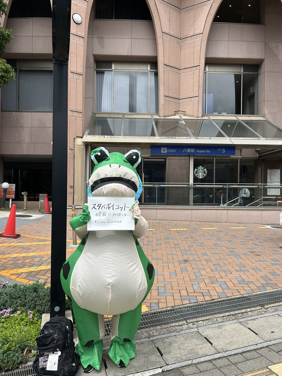 ちゃわ🐰🫧 tweet media