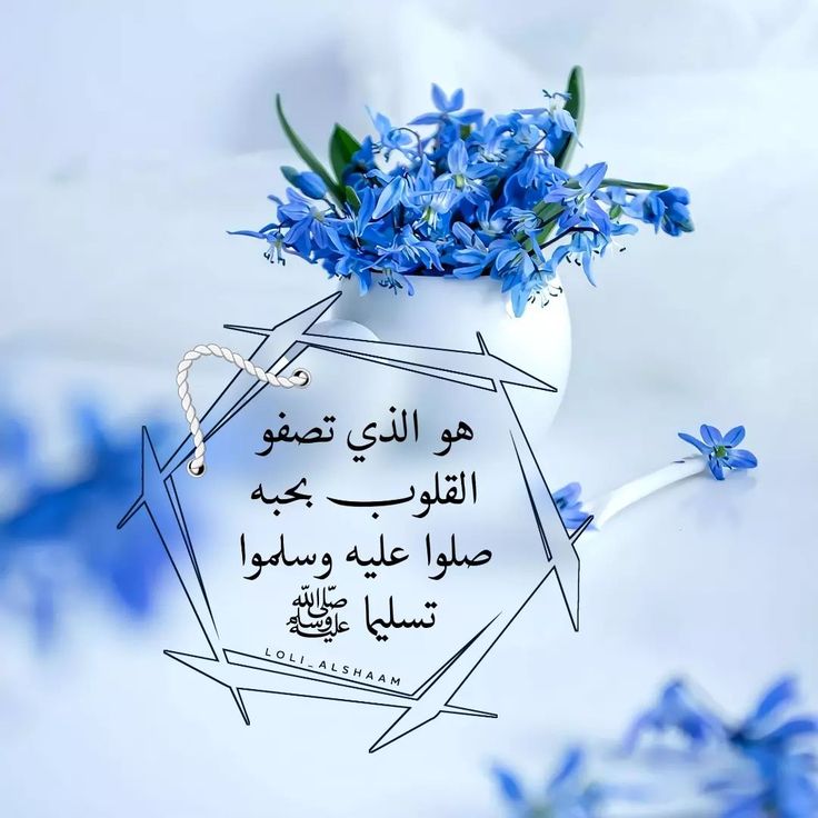 شموخ القوافي🕊️ tweet media