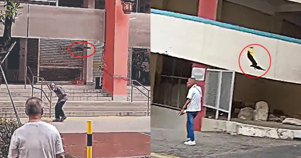 MothershipSG's tweet photo. 3 crows attack balding men outside Chinatown Complex, expert says it might be due to grudge against a bald man https://t.co/4DC2jMTldW https://t.co/HewbIpRCEw
