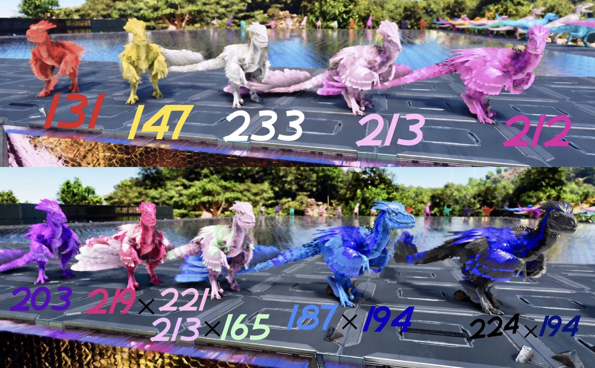 ちょこ🍫 tweet media