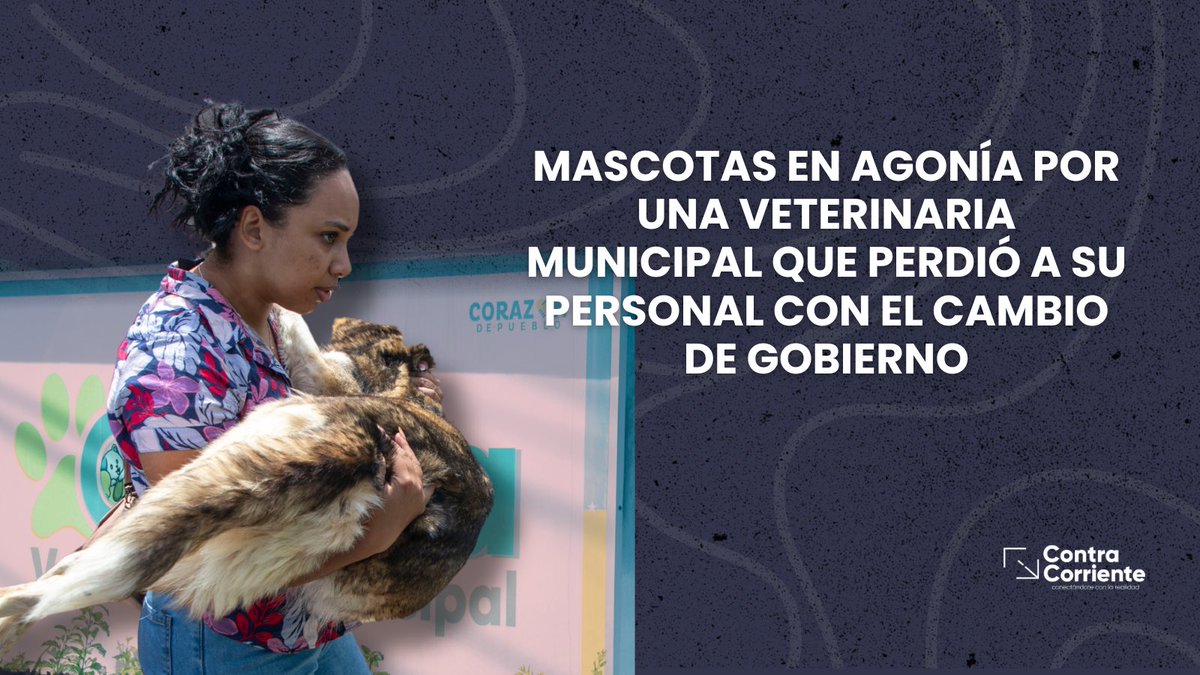 Contracorriente tweet media