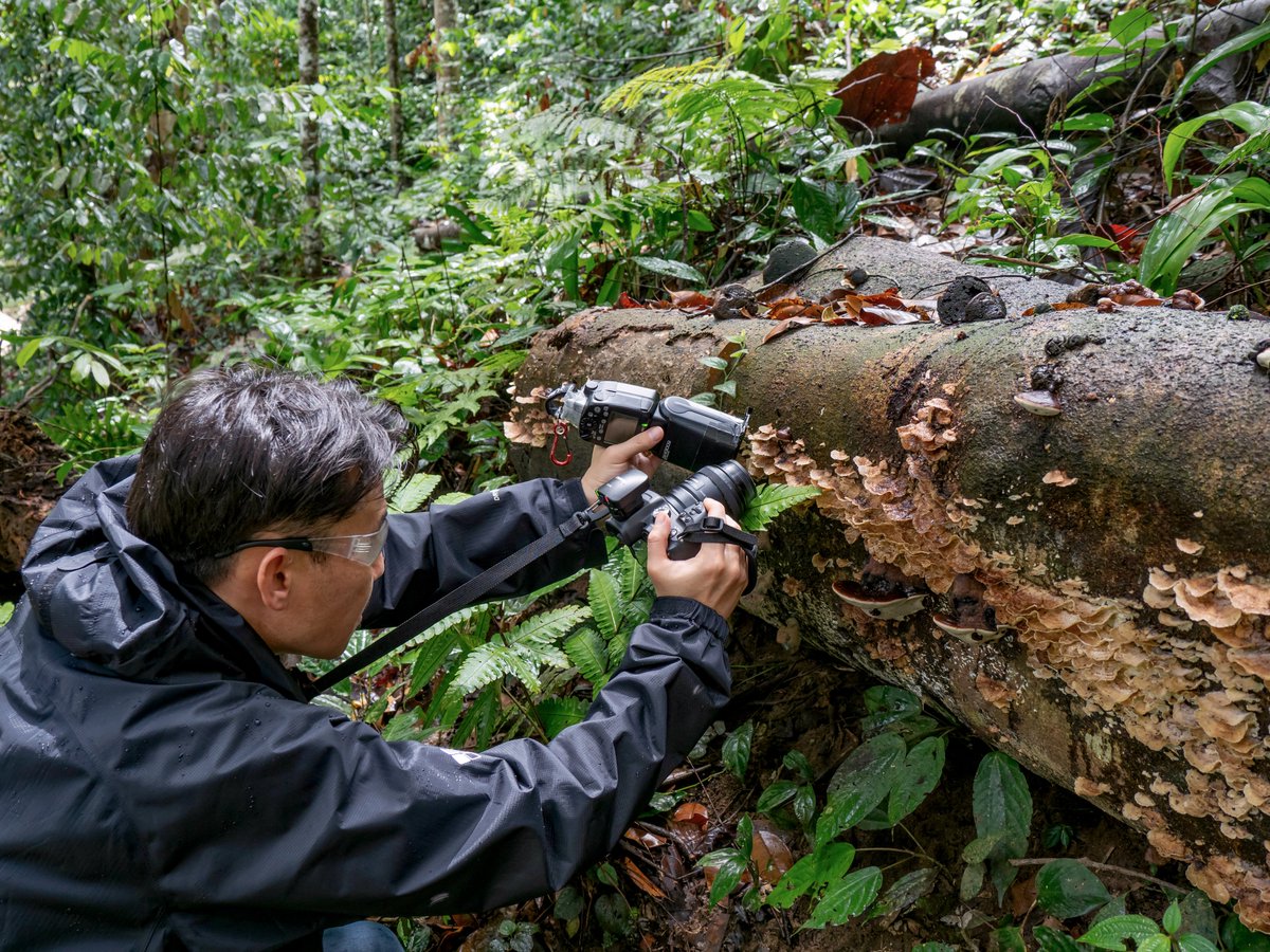 眼遊 GANYU tweet media