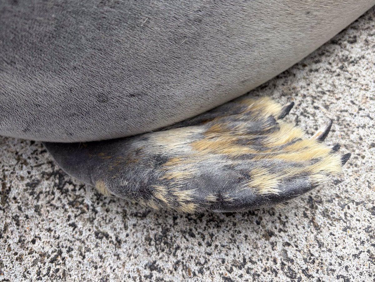 上越市立水族博物館 うみがたり tweet media