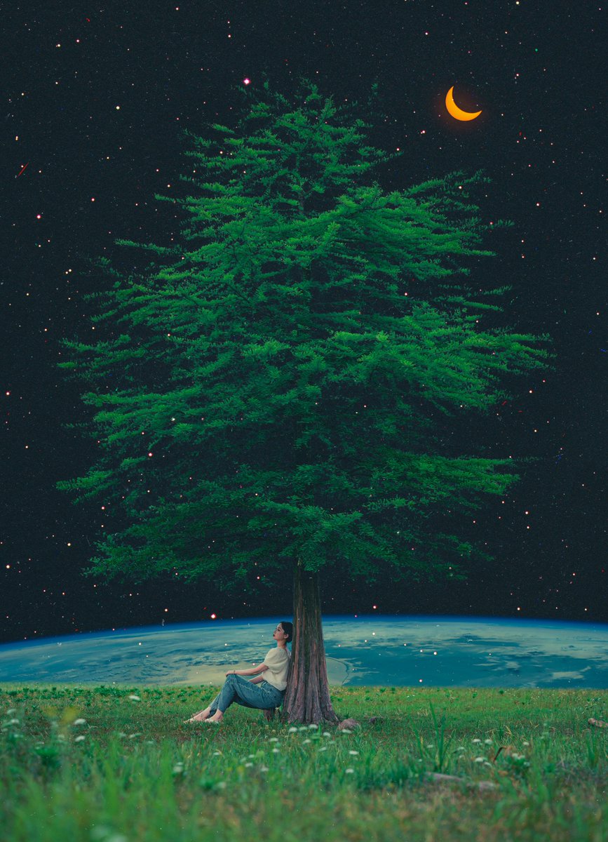 POSTWOOK's tweet photo. day / night / day / night https://t.co/liTrbP8pDb