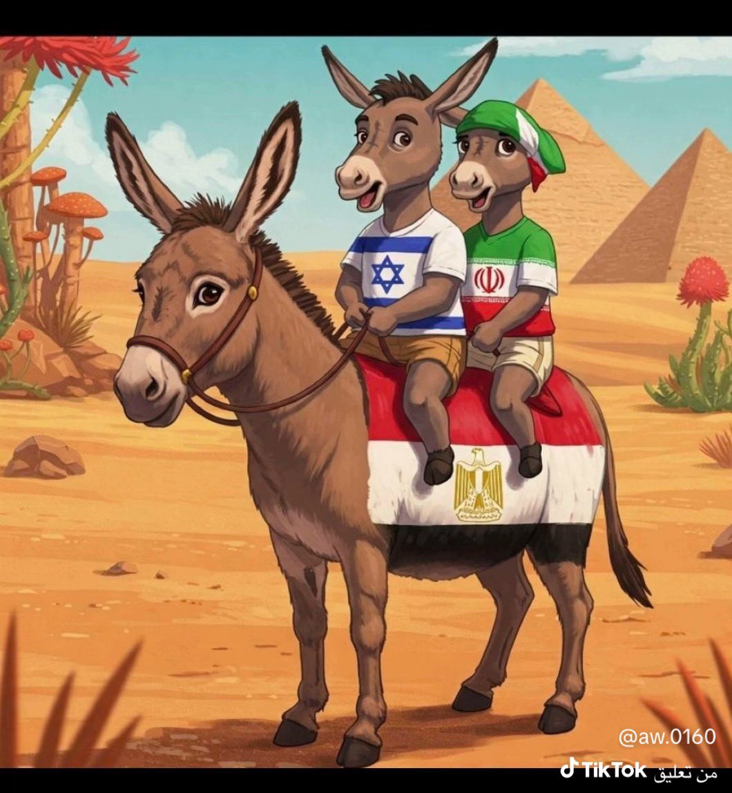 أبو عبدالله tweet media