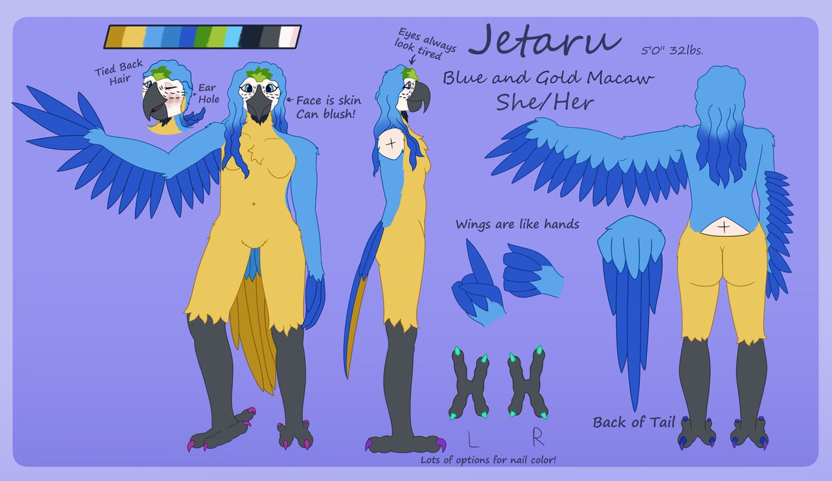 Jetaru_'s tweet photo. its that timeeee new ref new ref new ref!! I've needed a new one for a  bit and decided to just get it done, so I spent a few days working on  it, and well, here it is! Hope you all like it! https://t.co/ls0T1PlGVN