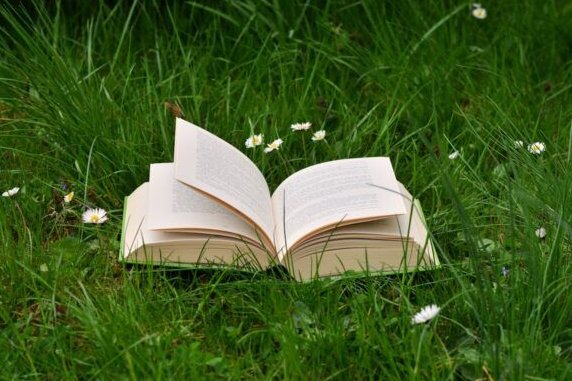 AidaBSanchez's tweet image. "#Libros para entender el #ecocidio provocado por nuestra especie".

Tres recomendaciones de ‘#Liternatura’ para celebrar el #DíadelLibro elasombrario.publico.es/tres-recomenda… #PilarSampietro  @Elasombrario