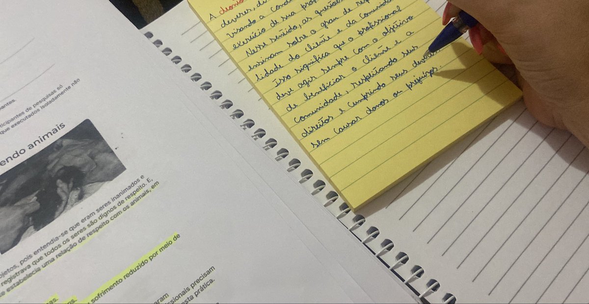 Mary 🐍 tweet media