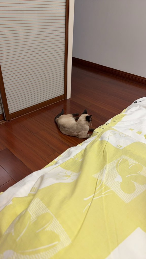 Aaa建材王哥 tweet media