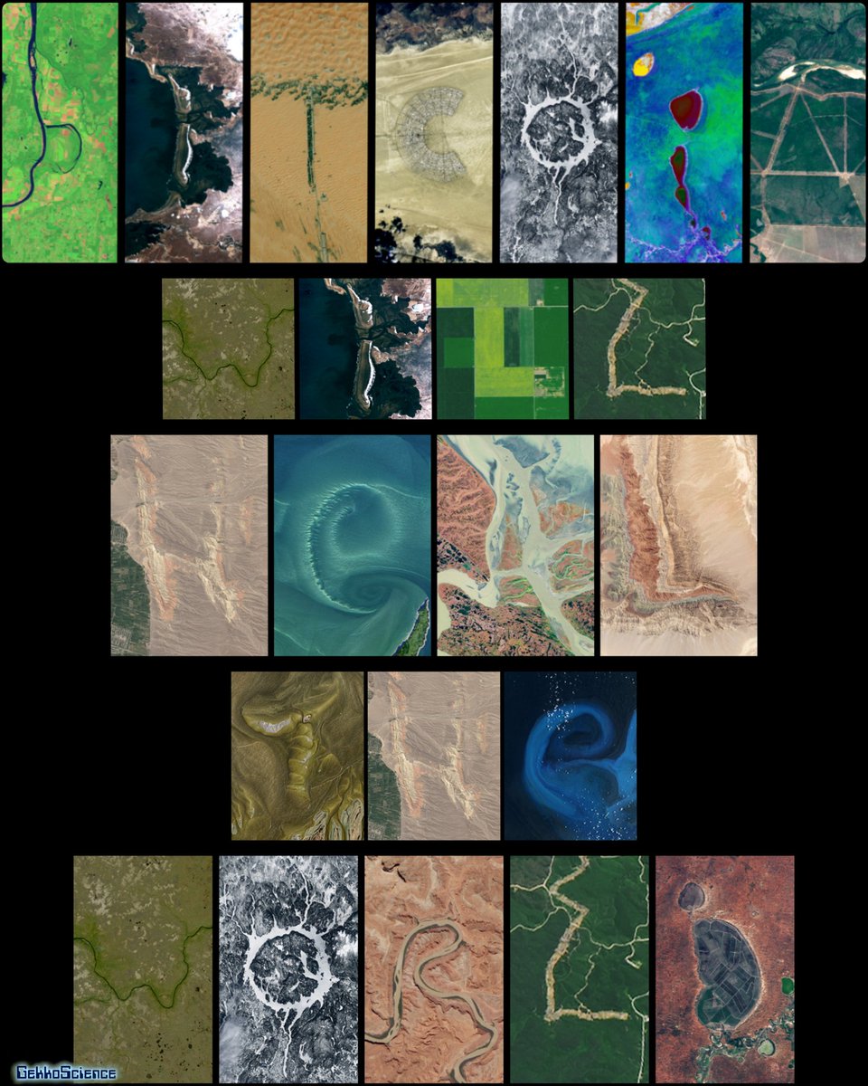 GekkoScienceLLC's tweet image. 