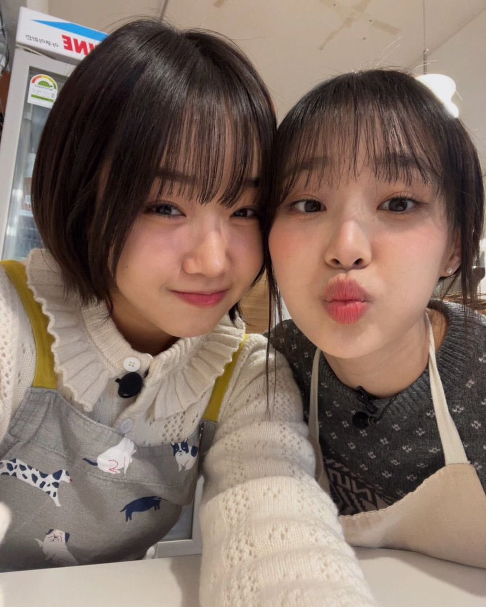 𝐫𝕖nné'𝐬 ♡諸 𝖍öw𝕝 ! tweet media