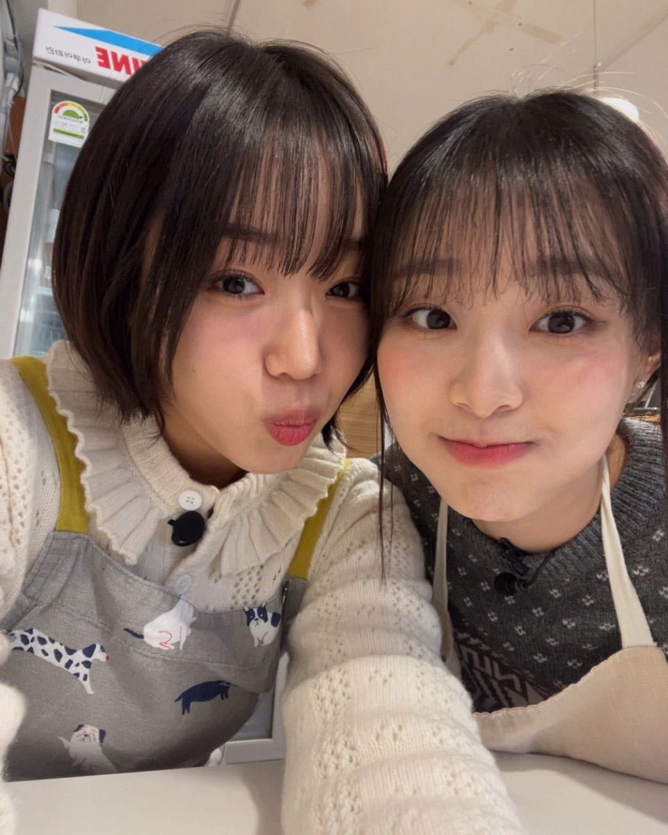 𝐫𝕖nné'𝐬 ♡諸 𝖍öw𝕝 ! tweet media